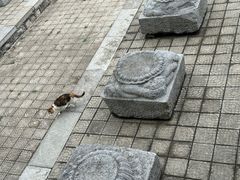 -四门塔风景区