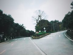 -铁山坪森林公园