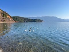 -泸沽湖里格半岛