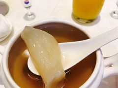 -上海新发展亚太JW万豪酒店