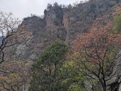 -北京鹫峰国家森林公园