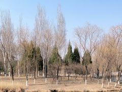 -稻香湖景欢乐岛温泉城堡