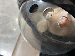 -半岛宠物医院24小时·内窥镜·牙科·碎石中心(府城大道店)