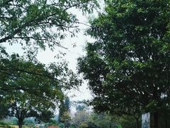 -南沙蒲洲花园