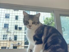 -李小姐の猫咖啡馆(五角场店)