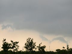 -春花秋色城市公园