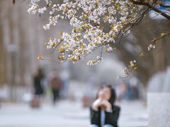 -山东师范大学(千佛山校区)