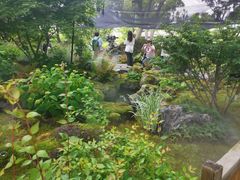 -上海植物园-4号门售票处
