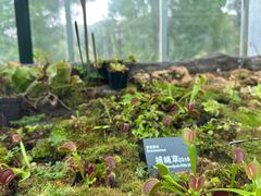 -国家植物园南园