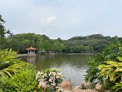-深圳仙湖植物园