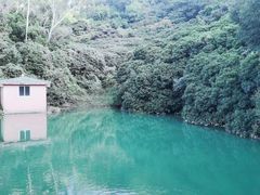 -水濂山森林公园