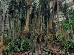 -南山植物园