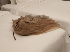 -麗枫酒店(武汉吴家山五环体育中心店)