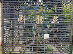 -广州神农草堂中医药博物馆