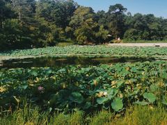 -承德避暑山庄景区