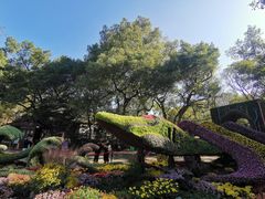 -杭州植物园