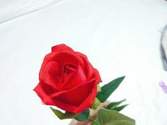 -天鹅恋主题酒店(光谷广场步行街店)