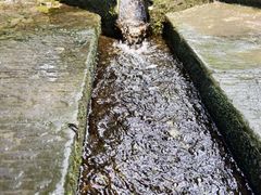 -成都市活水公园