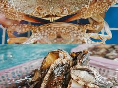 -三亚火车头万人海鲜广场