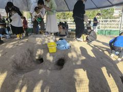 -前小桔亲子创意农场·草莓采摘·露营烧烤