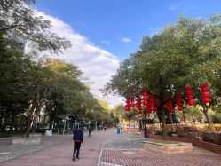 -深圳市儿童乐园