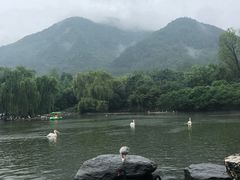 -西安秦岭野生动物园