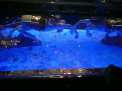 android_upload_pic-星巴克臻选(深圳龙华红山天虹店)