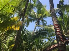 -三亚珠江南田温泉度假区