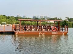 -芒洲湿地公园
