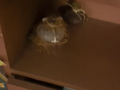 -Xcape异时刻密室逃脱魔法互动(瑞虹天地太阳宫店)