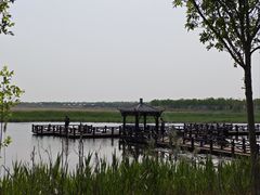 -南大港湿地风景区