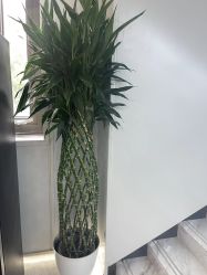 -悟空祛痘·诺奖技术专业店