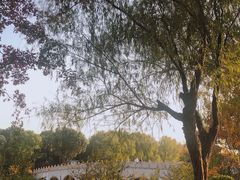 -昆山城市生态森林公园