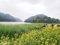 -广州市石门国家森林公园