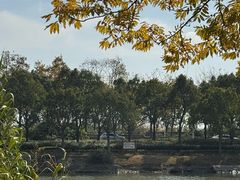-比斯特上海购物村精品奥特莱斯
