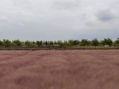 -嘉北郊野公园