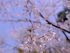 -幕燕滨江·燕子矶公园