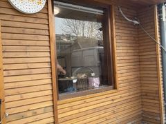 -正宗忘不了老鹅(梅岭店)