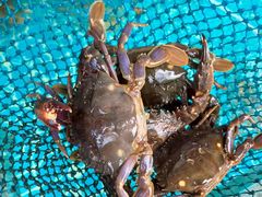 -庆山饭店·海鲜饺子家常菜(北戴河黑石路店)