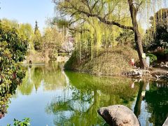 -西苑公园