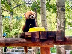 -北京野生动物园