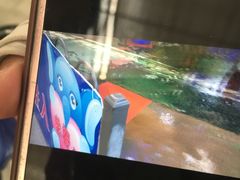 -奥帕拉拉水公园