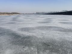 -丁香湖公园