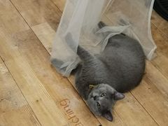 -么么咖啡(燕郊店)