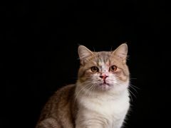 -樽宴酒楼·地道川菜·品质聚会·生日宴请