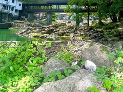 -鹿亭中村