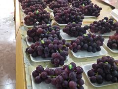 -全而廉(靖宇中路店)