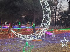 -青龙湖公园