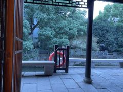 -老头儿油爆虾(胜利河美食街店)