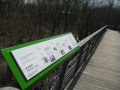 游乐设施-西湖风景区-江洋畈生态公园